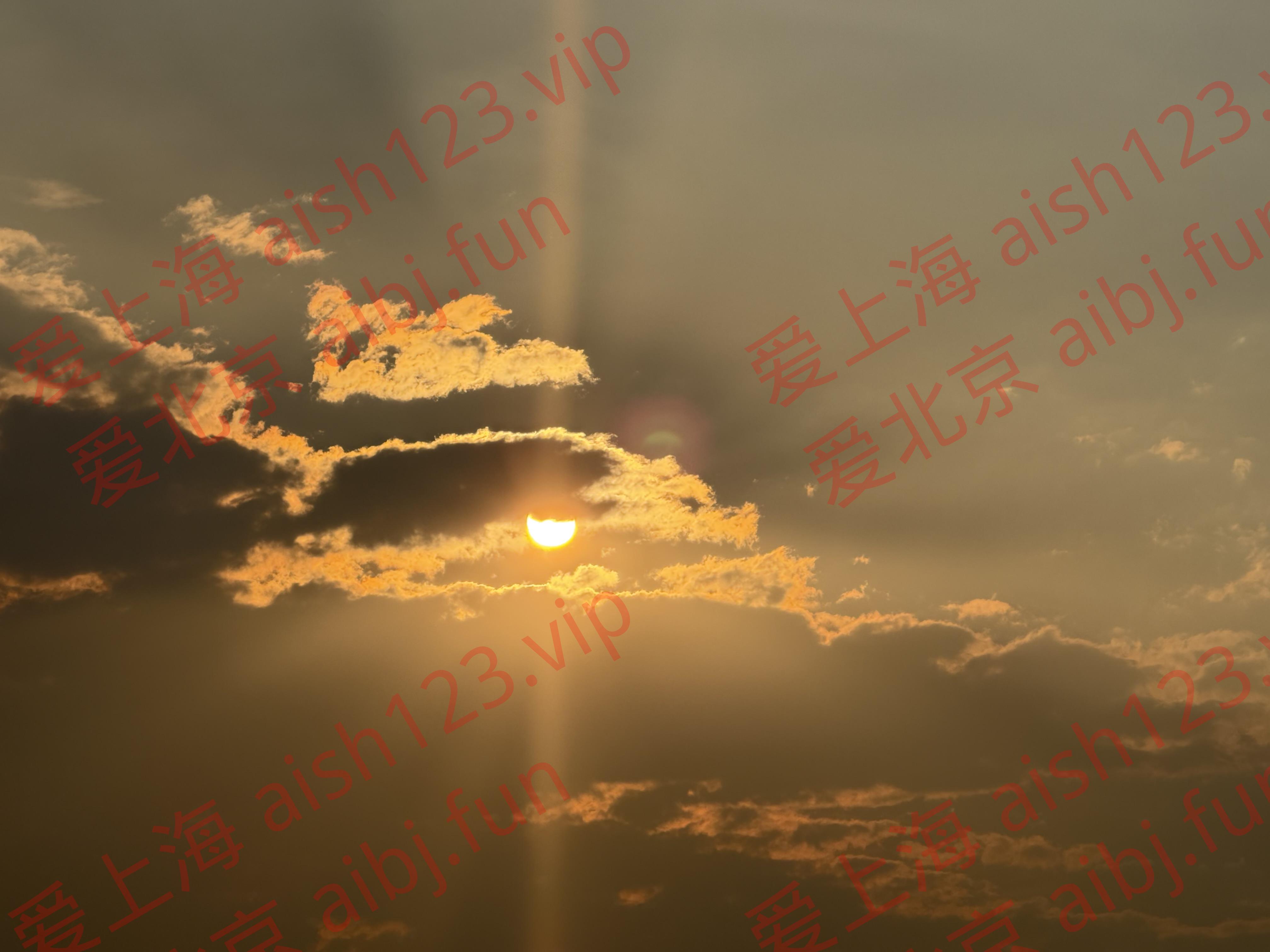 IMG_1297.jpeg